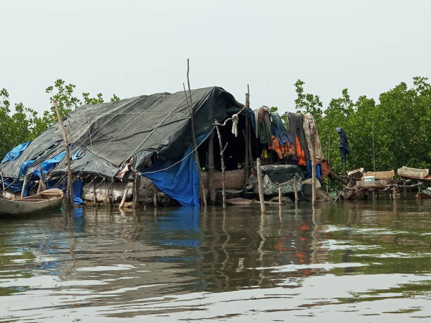 The African fisherman's hut An African fisherman's hut in the middle of the mangrove swamp in Casamance, southern Senegal. We see the fishing clothes, the traditional pirogues of the fisherman, the containers to receive the fish. casamance river stock pictures, royalty-free photos & images