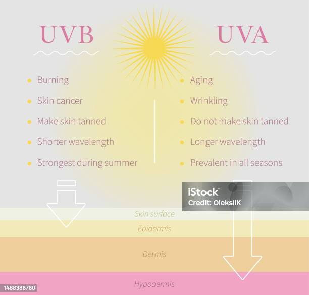 Uvb And Uva Ultraviolet Rays Difference Inforgaphics About Sun Rays ...