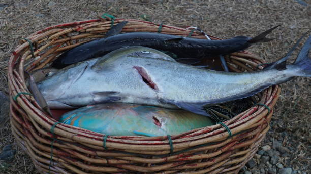 istock Ulee Lheue Fish Market 1488389820
