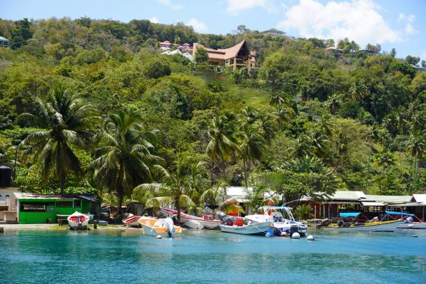 marigot bay saint lucia - st lucia bay caribbean marigot bay stock-fotos und bilder