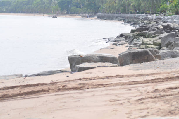 istock beach, sea and sand 1488391701