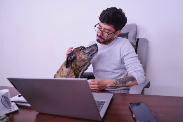istock tattooed man working with his pets from home 1488393805