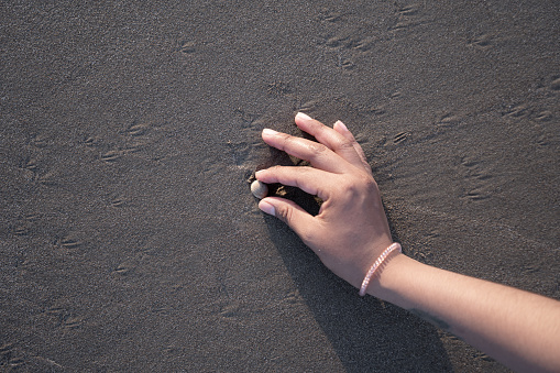Close up of a young Hispanic woman hand collecting a seashell at the beach during sunset in summer vacation