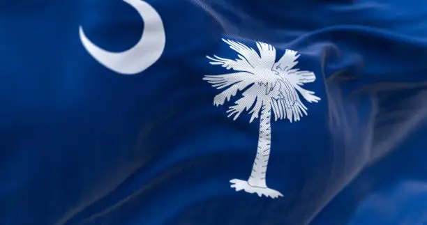 Detail of the South Carolina state flag waving. Blue field with white palmetto tree and crescent. US state. Rippled fabric. Textured background. 3d illustration render. Close-up. Selective focus