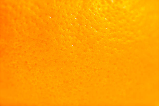 istock Macro Fruit: Zest of orange, ultra close up, horizontal format, format filling background 1488396764
