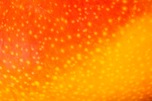 Macro Fruit: skin of mango, ultra close up, horizontal format, format filling background,