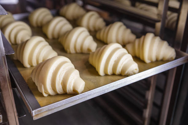 istock Pre-baked proofed croissant dough 1488397331