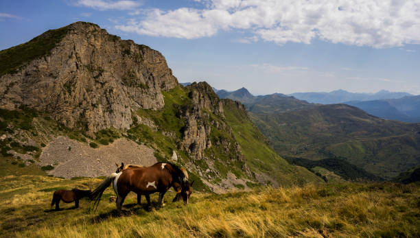 istock View of Galibier, Pyrenees, France 1488398564