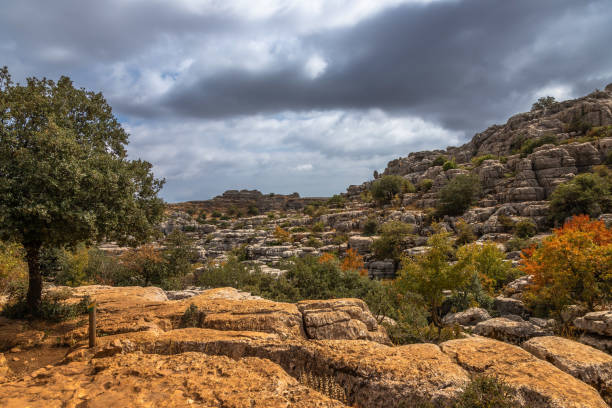 istock El Torcal de Antequera Nature Park Reserve 1488399549