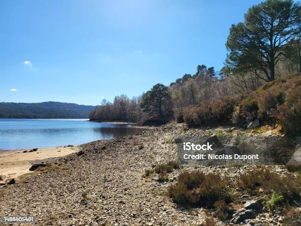 Spring Trail The Lake Of Glen Affric Cannish Highland Scotland Stock Photo - Download Image Now