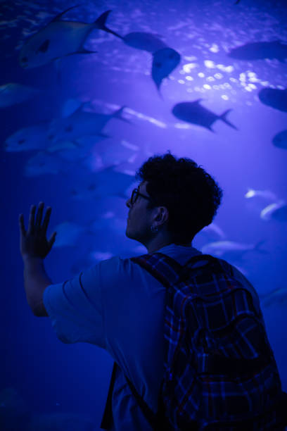 istock Man loocking a big aquarium 1488406329
