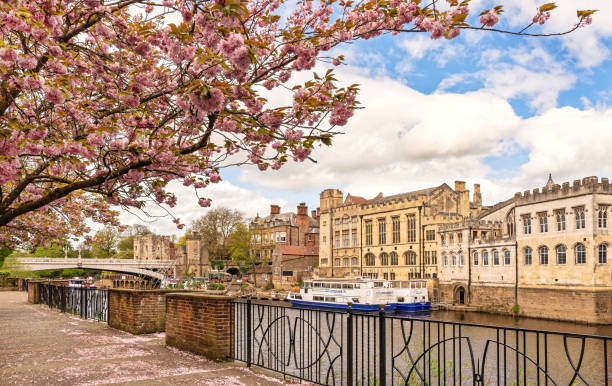 Tourist sightseeing punting boats on the river Cam with architecture of University buildings and bridges in the city centre of Cambridge in England UK on a sunny spring day. Punts are hired with a chauffeur who tells stories about the history of the city and buildings.