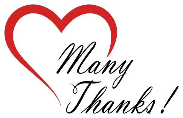 Vector illustration of Many Thanks Black Vector lettering with red heart. White back.