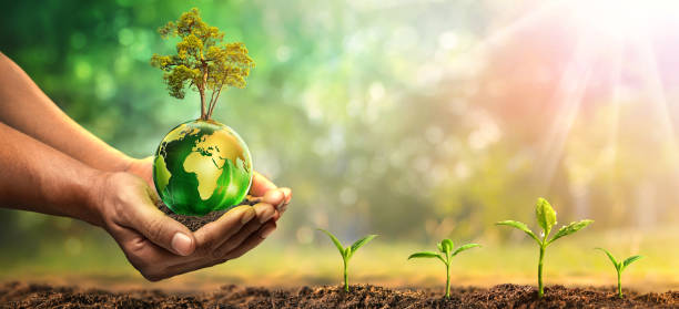 istock Glass Globe In Hand, Environment Concept 1488411617
