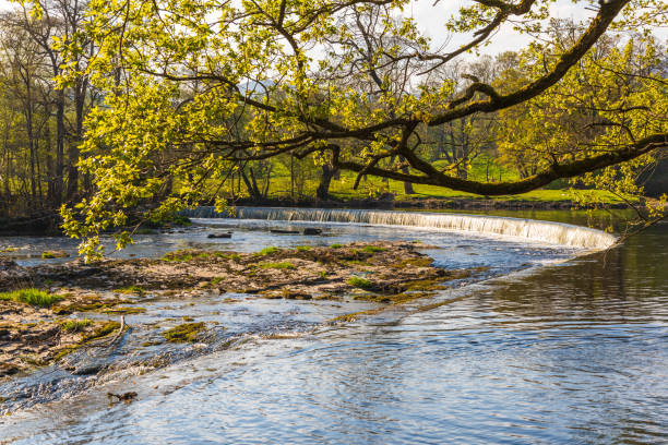 widok na wodospad horseshoe falls w pobliżu llangollen. llangollen, denbighshire, walia. - llangollen zdjęcia i obrazy z banku zdjęć