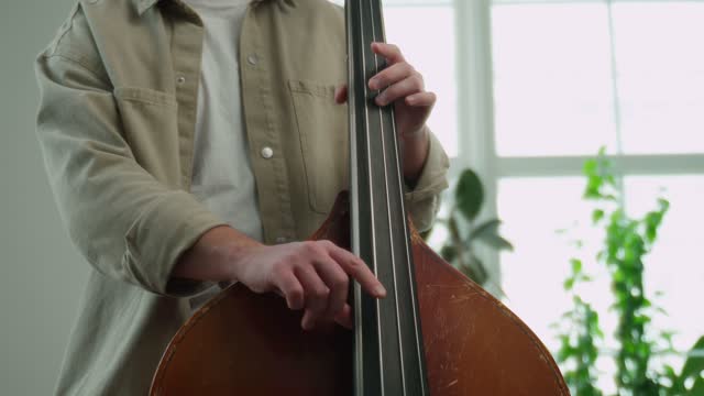 Double bass. Hands playing contrabass player musical instrument