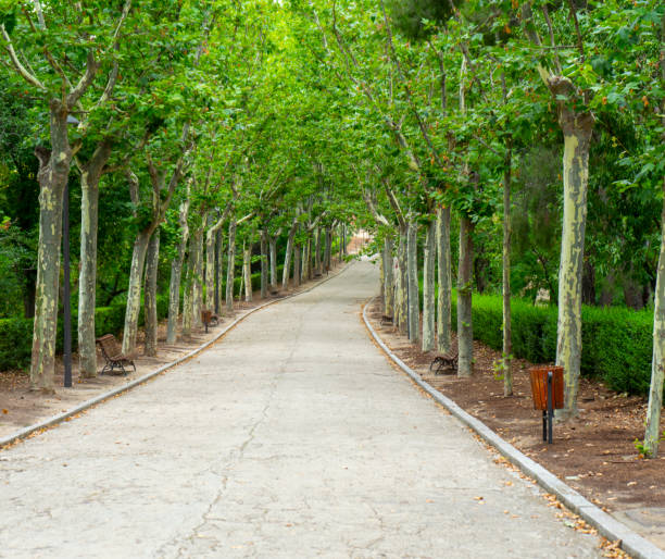 istock image of a path surrounded by vegetation in a park in madrid on a spring day 1488416516