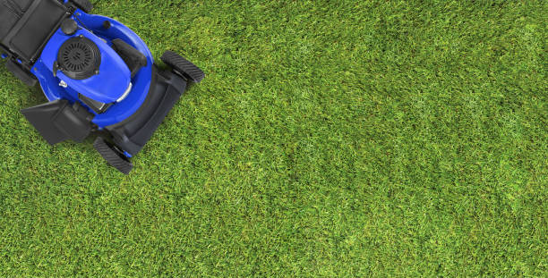 istock Top view green lawn grass with a lawnmower 1488416765