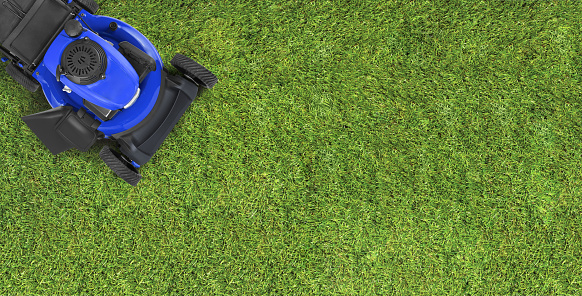 Top view green lawn grass with a blue lawnmower