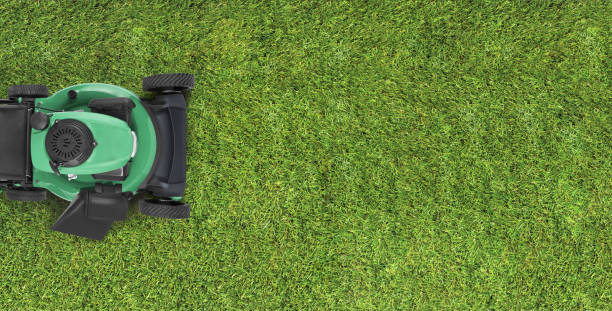 Top view green lawn grass with a lawnmower