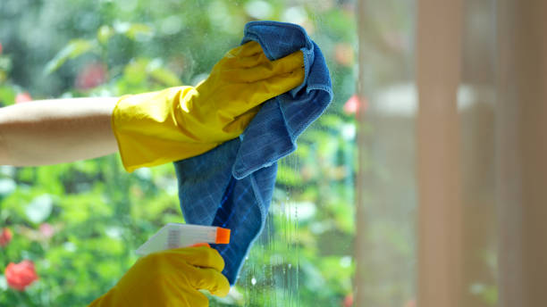 istock Woman cleaning window using detergent and rags 1488417099