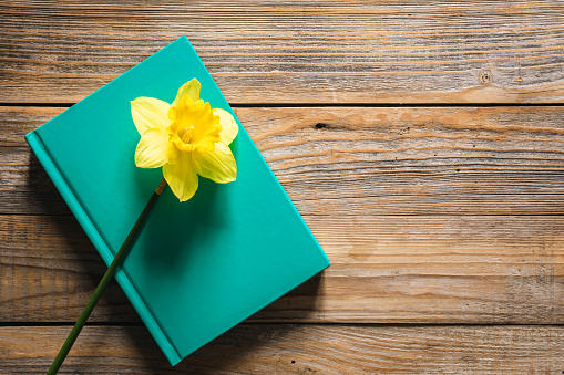 Green book and yellow narcissus flower on wooden background, top view, copy space, background for Book Day.