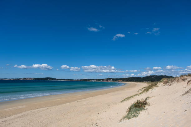 istock Sandy beach in Galicia, Spain 1488417728