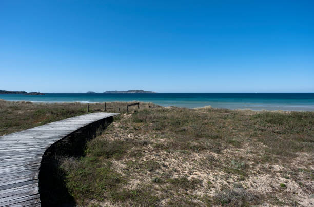 istock Beach dunes with wooden walkway 1488417739