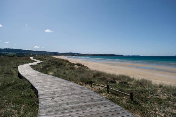 istock Wooden walkway on the beach dunes 1488417751