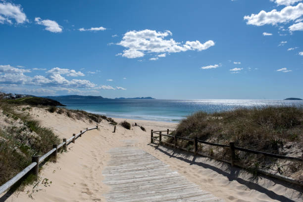 istock Wooden walkway in the beach dunes 1488417753