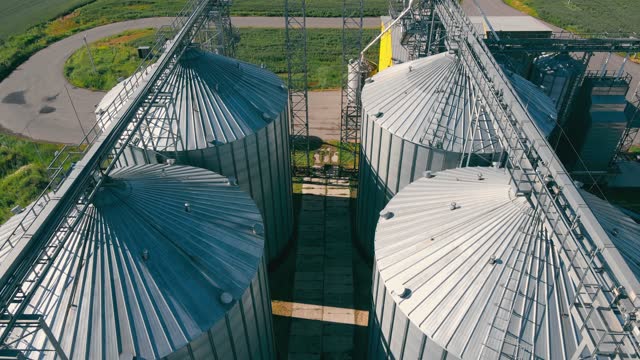 Tanks for processing and storage of soybean and wheat grain.