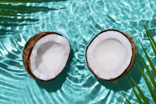 istock Summer background with coconuts on water background with water splashes. 1488424330