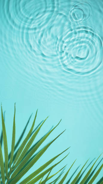 istock Water background with palm leaf top view. 1488424345