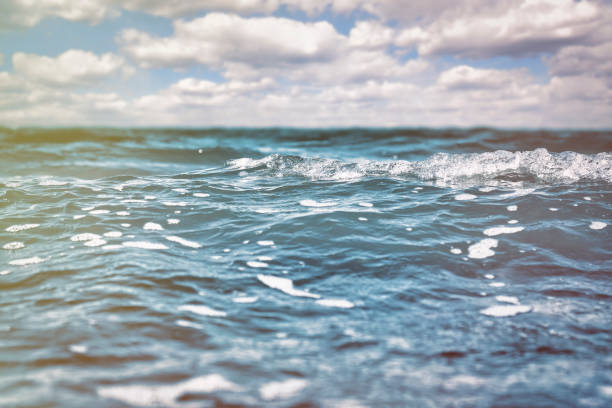 istock Sea surface with small waves and cloudy sky on the horizon. 1488427588