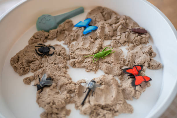istock Kinetic sand and toys insect. Sensory development and experiences, themed activities with children, fine motor skills development 1488427885