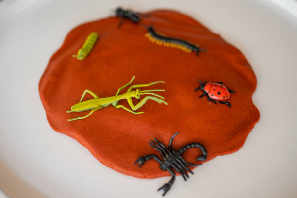 istock Plasticine and toys insects for playing. Sensory development and experiences, themed activities with children, fine motor skills development 1488427887