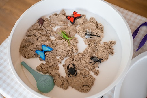 Kinetic sand and toys insect. Sensory development and experiences, themed activities with children, fine motor skills development. High quality photo