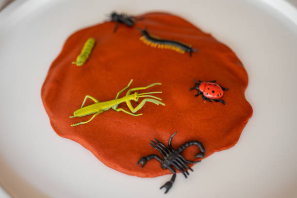 Plasticine and toys insects for playing. Sensory development and experiences, themed activities with children, fine motor skills development