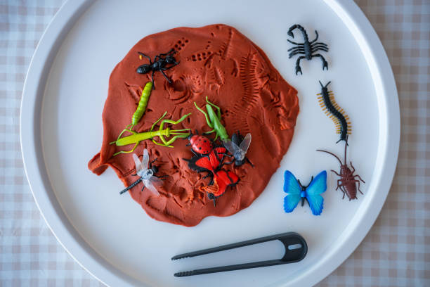 istock Plasticine and toys insects for playing. Sensory development and experiences, themed activities with children, fine motor skills development 1488427951