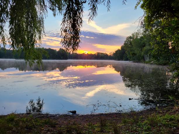 istock Lake sunrise with vegetation 1488428747