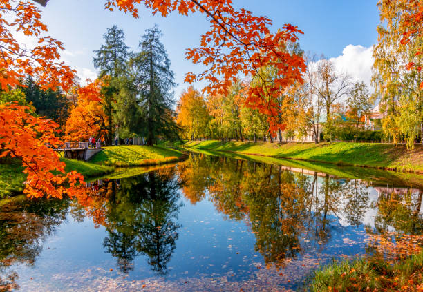 estanque en el parque catherine en otoño, tsarskoe selo (pushkin), san petersburgo, rusia - catherine park fotografías e imágenes de stock