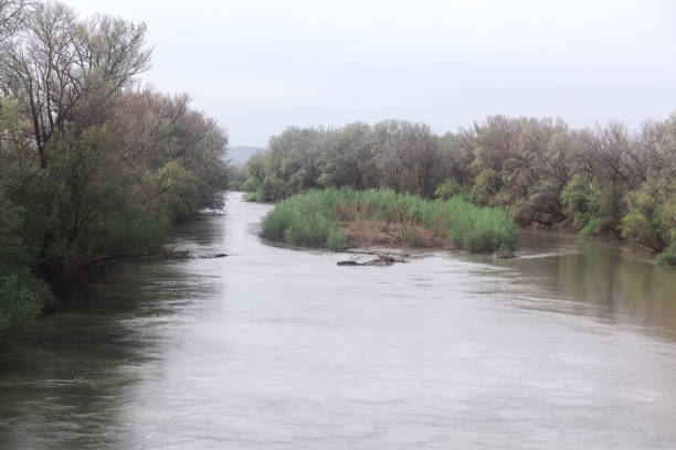 Island at flowing river water . Riverside spring nature
