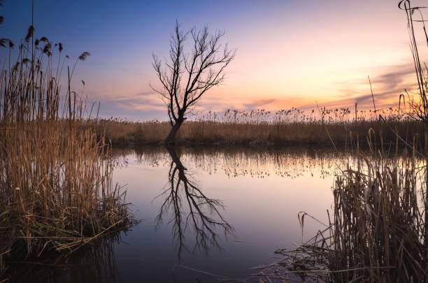 istock Beautiful summer landscape by the river. 1488437257