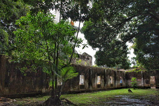 Ruinas de la antigua prisión de la isla de Cotijuba, estado de Pará. photo