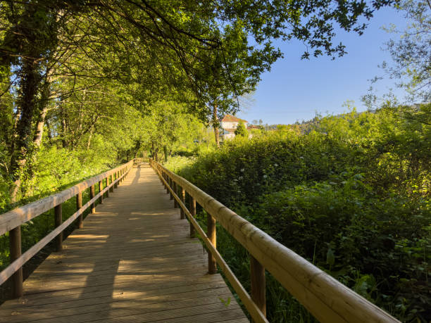 Wooden pathway in Fiaes, Santa Maria da Feira - Portugal.