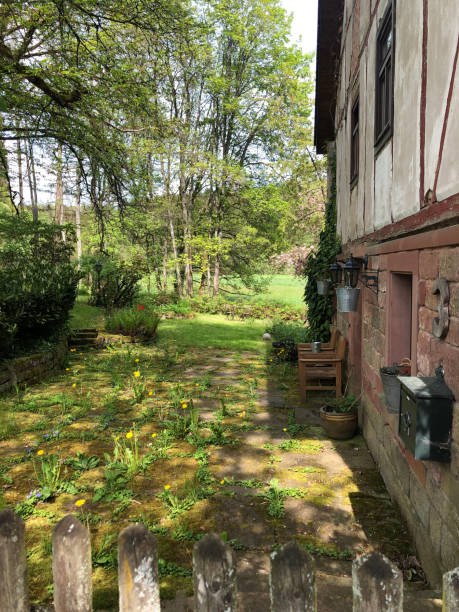 istock old mill in the forest of odes 1488446184