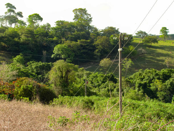 istock beautiful rural landscape brazil 1488447105