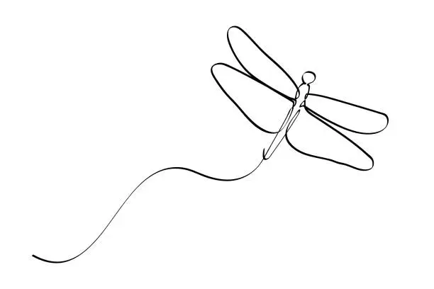 Vector illustration of vector sketch simple single or one continuous fly dragonfly