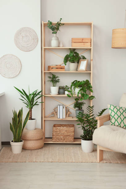 istock Stylish room interior with beautiful house plants. Home design idea 1488447362
