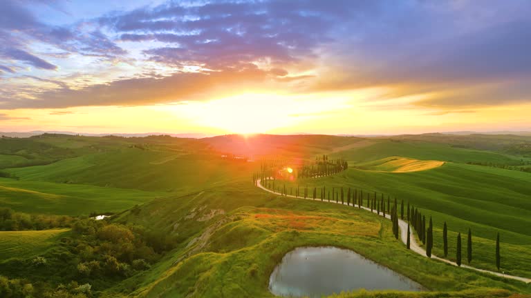 Cypress road in Asciano Tuscan countryside from drone